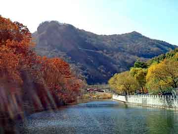 澳门精准正版免费大全14年新，电磁板